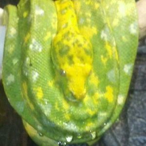 Meet your Posher, Don